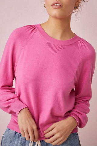 Pull Barry - Rose
