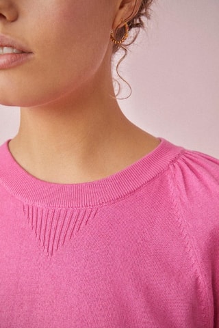 Pull Barry - Rose