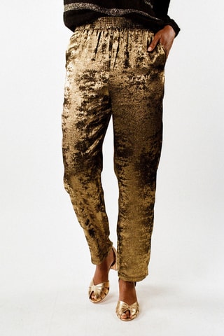 Broek Ricardo - Goudkleurig