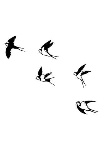 Décoration murale 5 oiseaux - 27 x 26 cm - 29 x 26,5 cm - 31 x 19 cm - 24 x 32 cm - 29 x 31,5 cm - Noir
