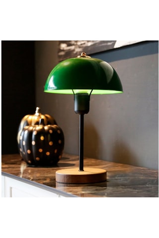 Tafellamp AYD-2796 - Groen en Zwart - 60 W