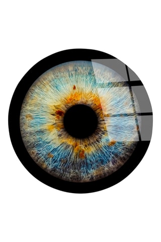 Gehard Glazen Wanddecoratie Édouard - 60 cm