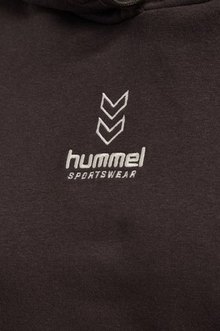 Sweat à capuche - Marron