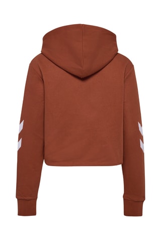 Sweat à capuche - Marron