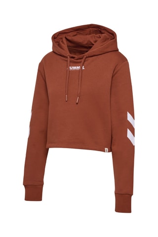 Sweat à capuche - Marron