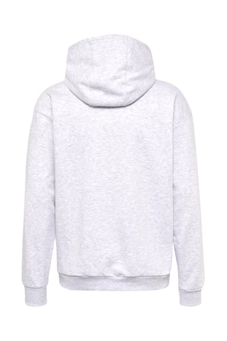 Sweat à capuche - Gris clair
