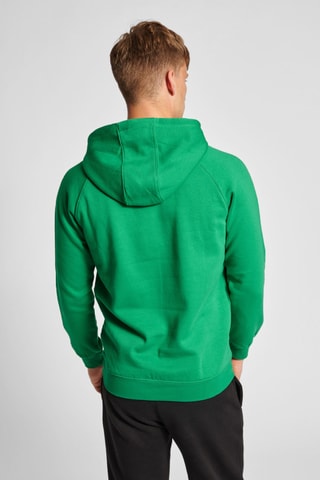Sweat à capuche - Vert