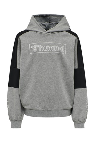 Sweat à capuche - Gris