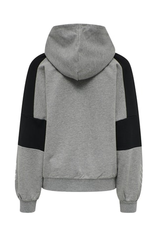 Sweat à capuche - Gris