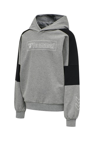 Sweat à capuche - Gris