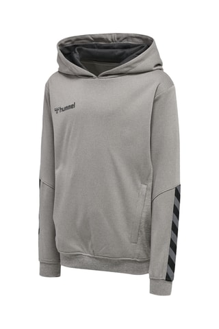 Sweat à capuche - Gris