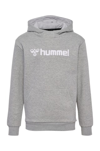 Sweat à capuche - Gris