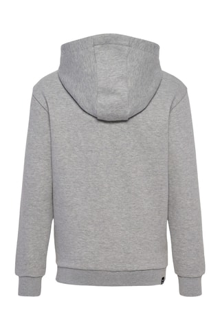Sweat à capuche - Gris