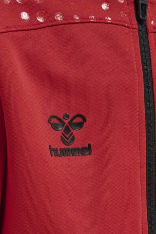 Sweat à capuche - Rouge