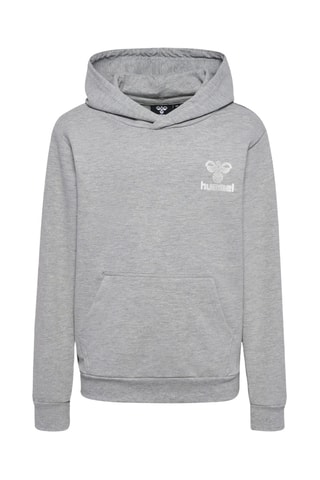 Sweat à capuche - Gris