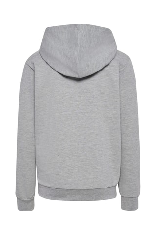 Sweat à capuche - Gris