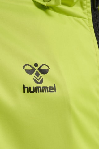 Coupe-vent à capuche - Vert