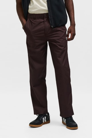 Chino - Marron