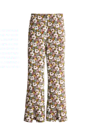 Broek - Bruin