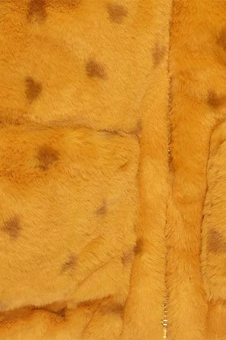 Jasje - Oranje