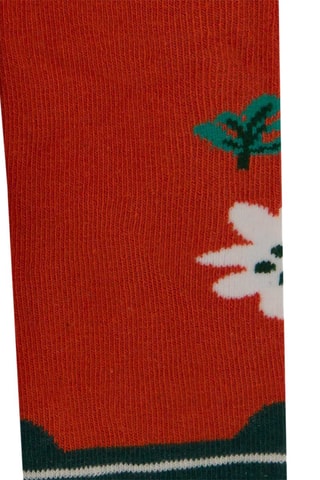 Panty - Oranje