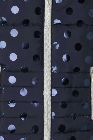 Gewatteerde Jas met Capuchon - Marineblauw