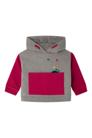 Sweater met Capuchon - Grijs