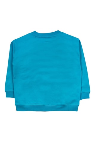 Sweater - Groen