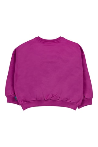 Sweater Park Life - Lichtpaars