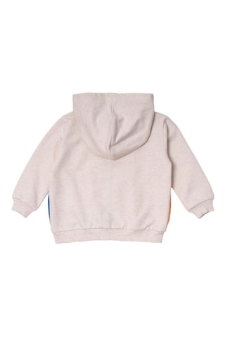 Sweater met Capuchon Eco-Safari - Gemêleerd Lichtgrijs