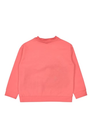 Sweater Treasure Island - Koraalrood