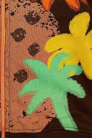Sweater Met Capuchon Banana Records - Bruin