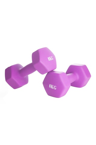 Paar Halters 8 kg