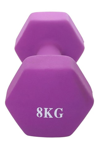 Paar Halters 8 kg