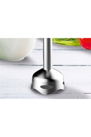 Mixeur plongeant - 800 ml