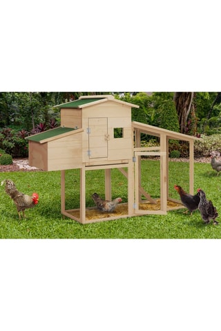 Poulailler en bois avec pondoir intégré Gelina - 2 à 3 poules