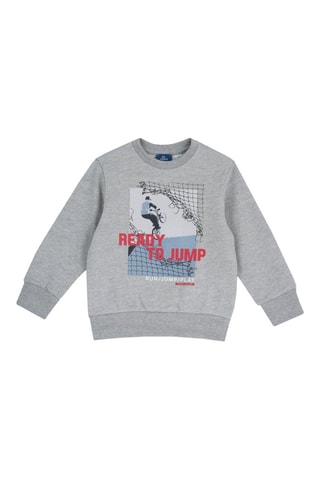 Sweater - Grijs