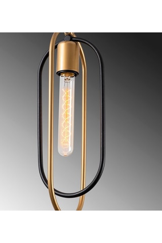 Hanglamp Cerco - Zwart en Goudkleurig