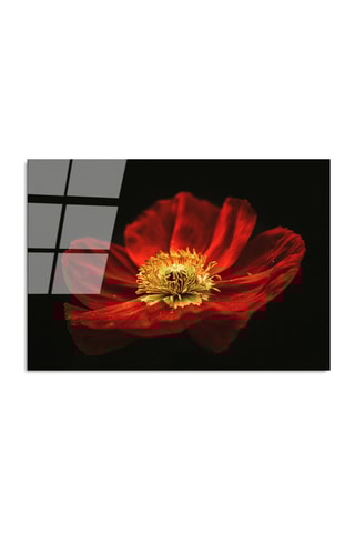 Wanddecoratie