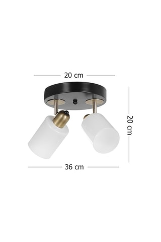 Plafondlamp - Zwart en Wit - 60 W