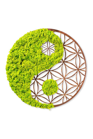 Wanddecoratie - 44 x 44 cm - Groen en Naturel