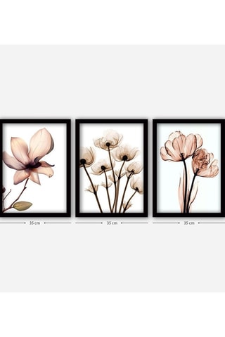 3 tableaux - 35 x 45 cm