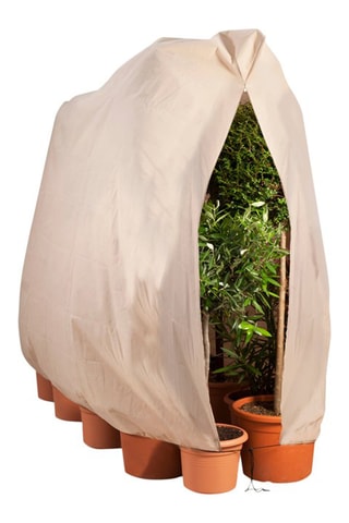 2 capas de proteção para plantas - Bege