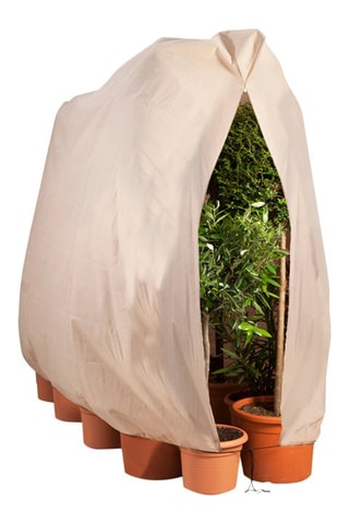 2 capas de proteção para plantas - 240 x 200 cm