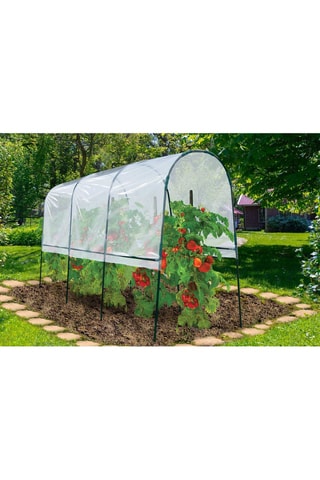 Estufa para tomates - 400 x 120 x 170 cm