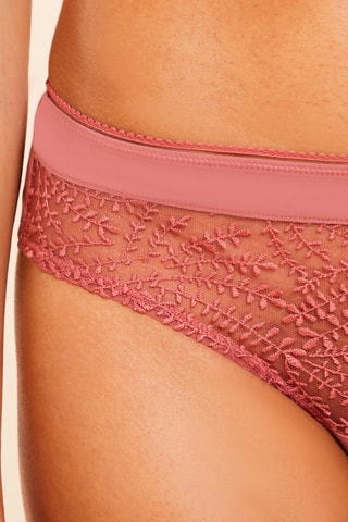 Shorties Edmee Terracota