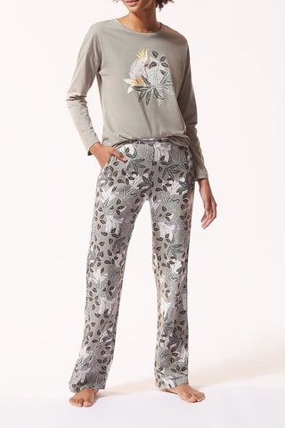 T-shirt Irny Caqui azeitona