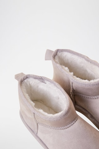 Botins forrados Chesnut Cinzento