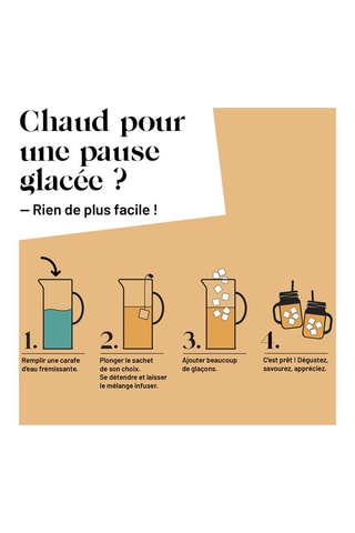 Infusion AquaFrutti Bio pour préparation glacée 6 sachets - 48 g