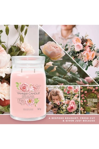 Geurkaars Groot Model Signature - Roses fraîchement coupées
